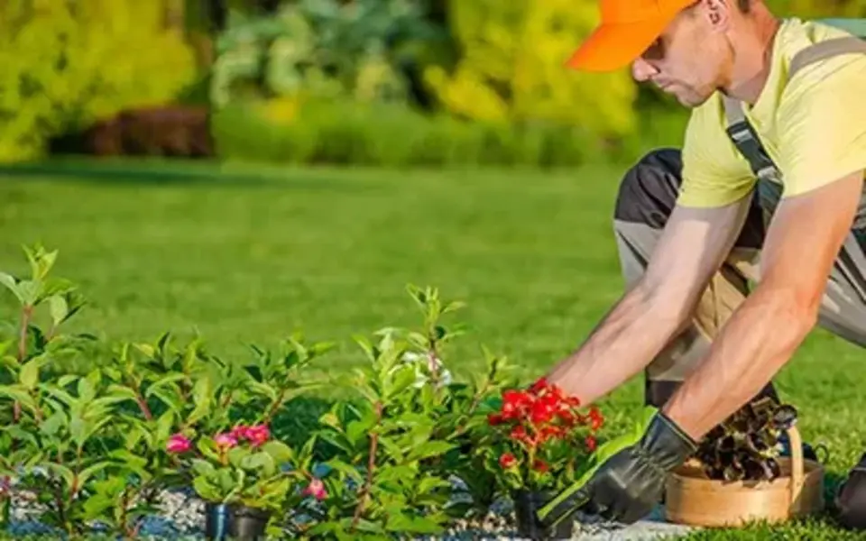 Gardener+planting+new+flowers+in+the+backyard+garden 396w (1)