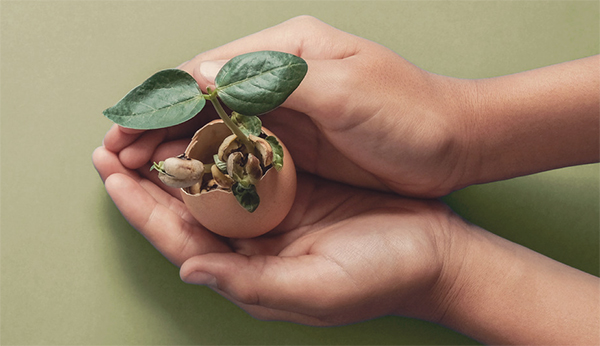 Social responsibility